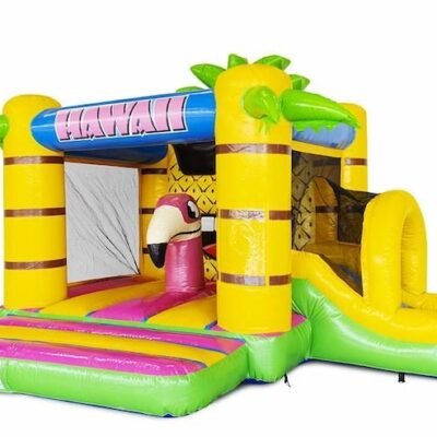Hawaii Bouncy Box