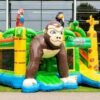 Safari Multiplay
