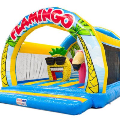 Jumpdome Flamingo Springkussen