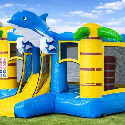 Mini Bounce dolfijn
