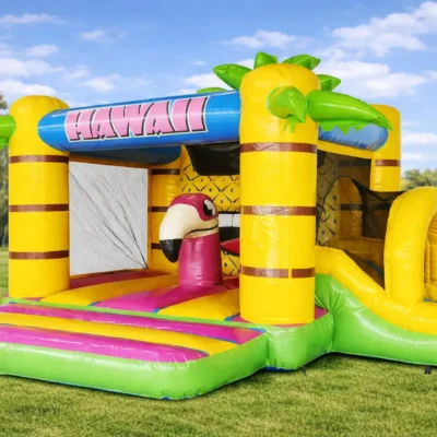 Hawaii Bouncy Box